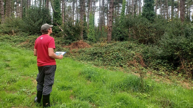 Ranger in Langdon Woods